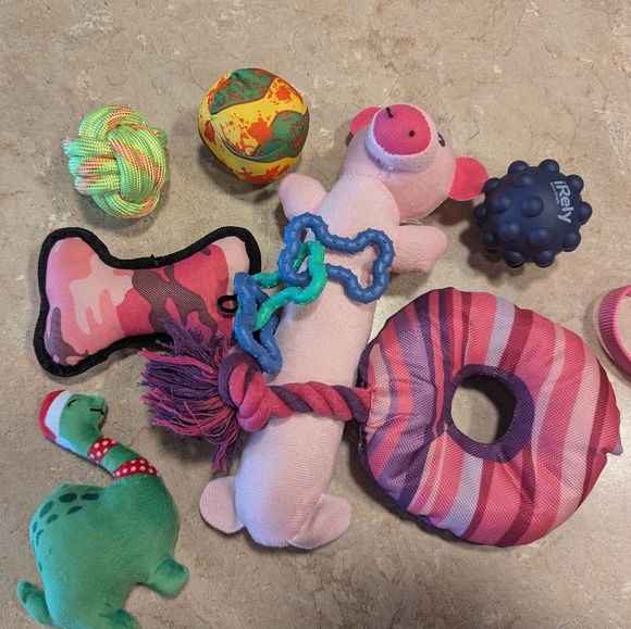 Dogs lot Harness, Leash, Toys... - Picture 3 of 15